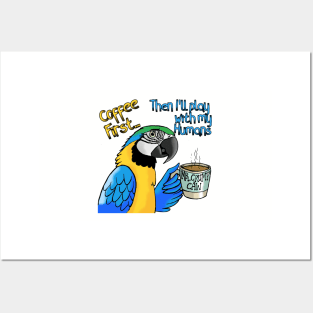 Coffee First Blue and Gold Macaw Posters and Art